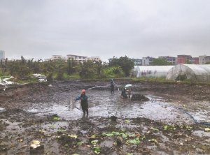 武威河道鱼塘清淤